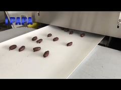 400mm mesin enrobing cokelat dicelupkan tanggal untuk pelanggan Dubai / آلة تغليف الشوكولاتة