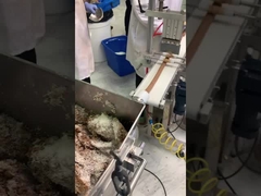 Bar tanggal dengan lapisan kacang dan kelapa lini produksi