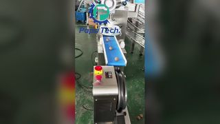 lini produksi bola protein oatmeal