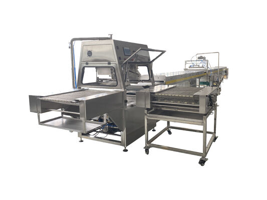 Harga yang bagus Automatic Feeding 400mm Wide Chocolate Enrobing Machine Lapisan Lapisan Ganda Dengan Terowongan Pendingin On line